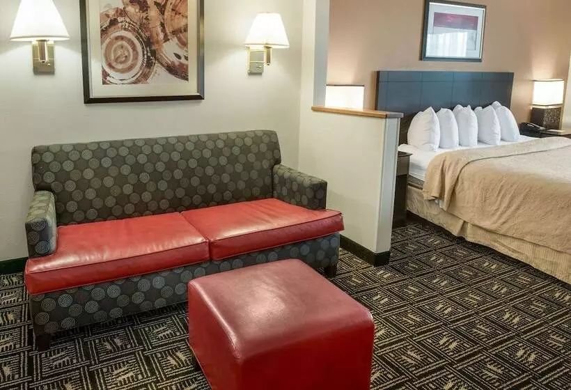 Отель Quality Inn & Suites
