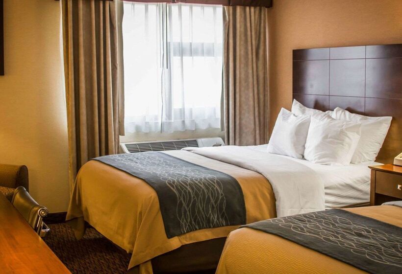 فندق Quality Inn & Suites