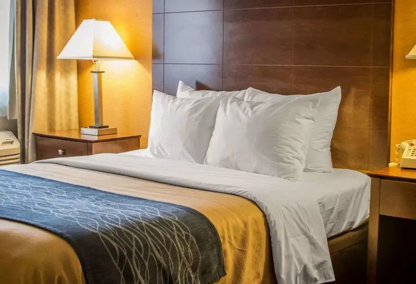 호텔 Quality Inn & Suites