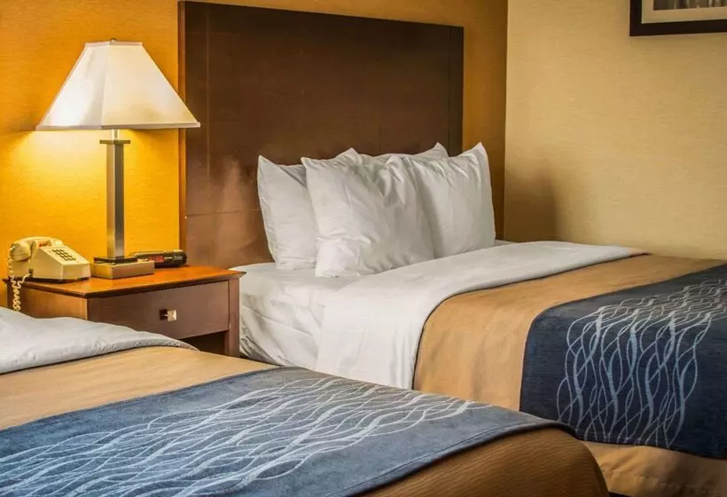 호텔 Quality Inn & Suites