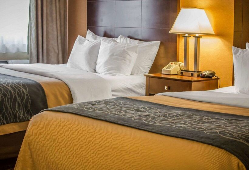 فندق Quality Inn & Suites