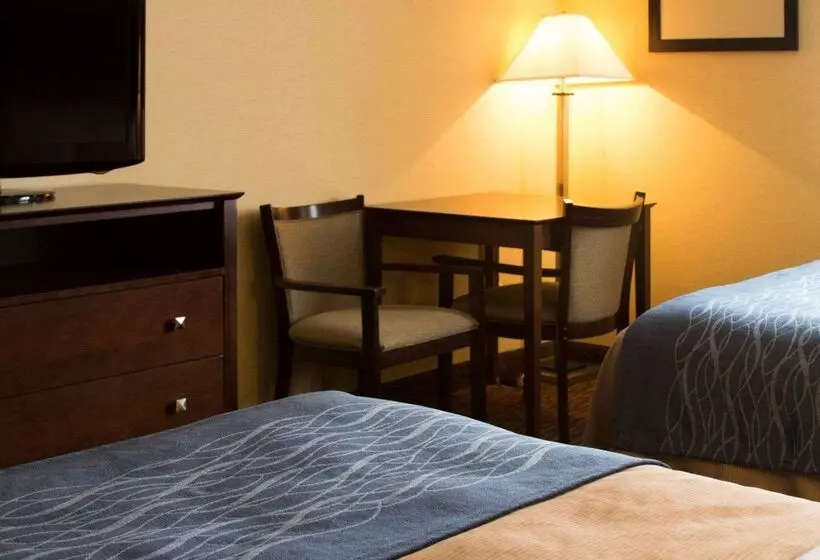 호텔 Quality Inn & Suites