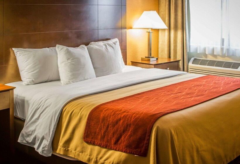 فندق Quality Inn & Suites
