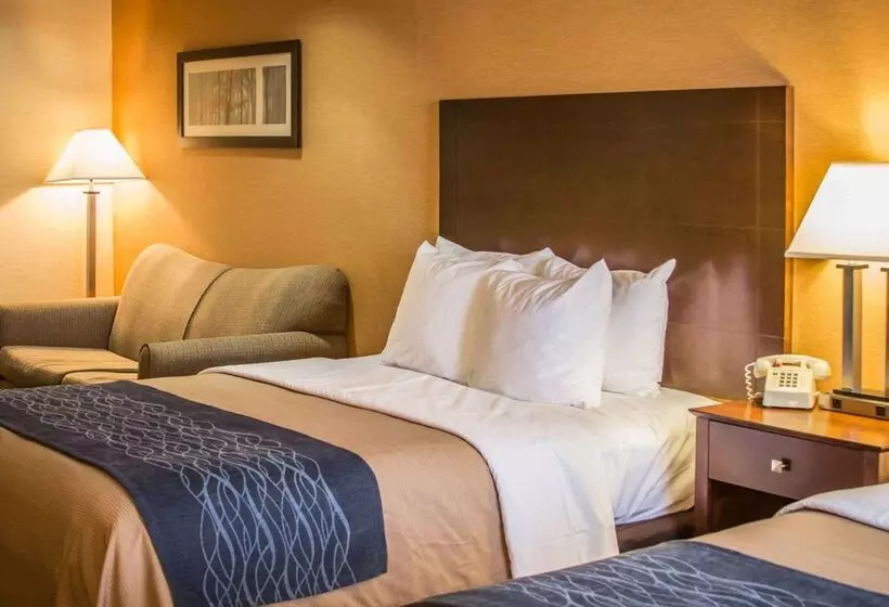 호텔 Quality Inn & Suites