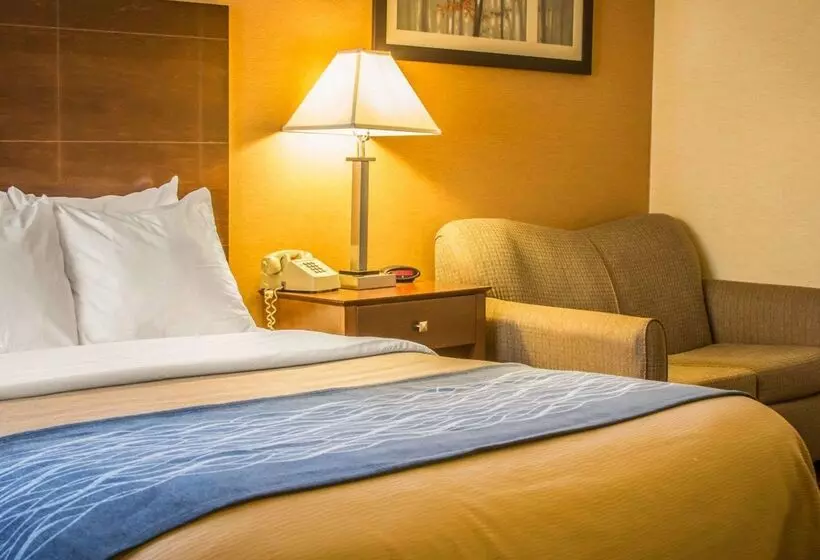 호텔 Quality Inn & Suites