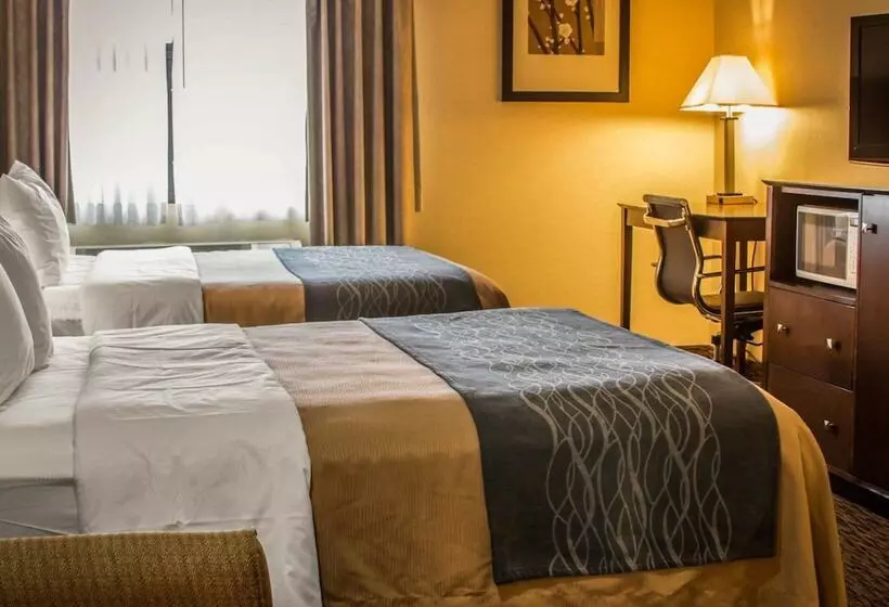 호텔 Quality Inn & Suites
