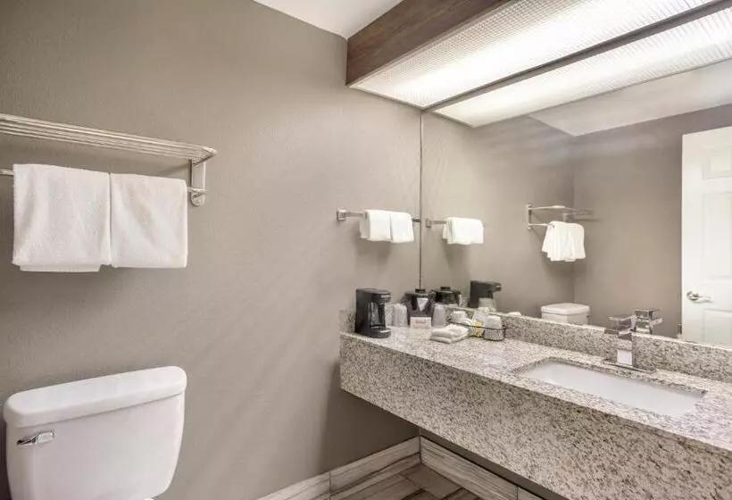 Отель Red Roof Inn & Suites Athens, Al