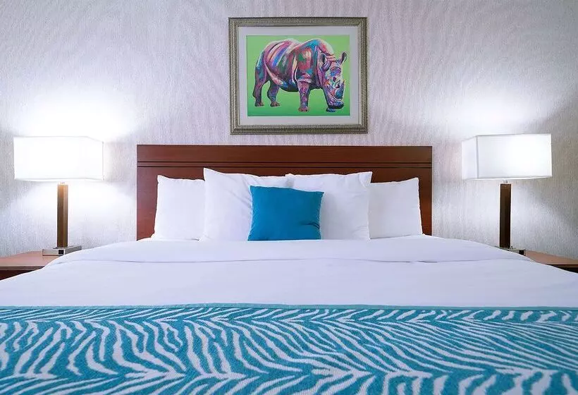 Hotel Americinn By Wyndham Omaha Near Zoo