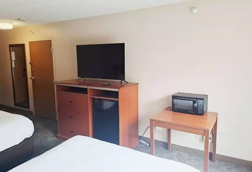 Hotel Americinn By Wyndham Omaha Near Zoo