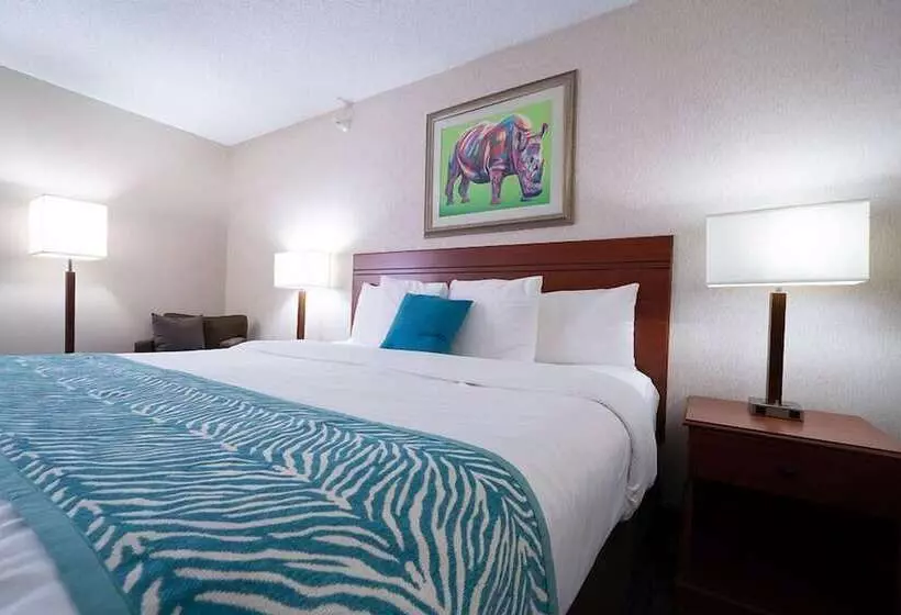 Hotel Americinn By Wyndham Omaha Near Zoo