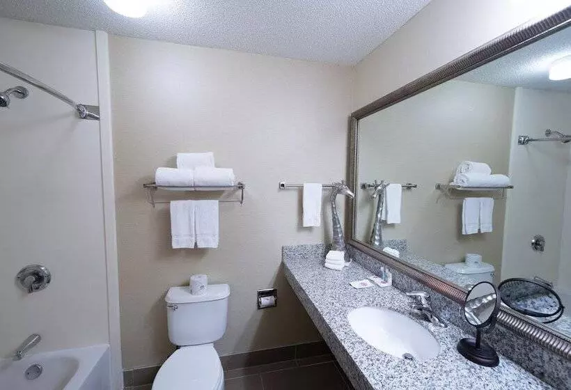 Hotel Americinn By Wyndham Omaha Near Zoo