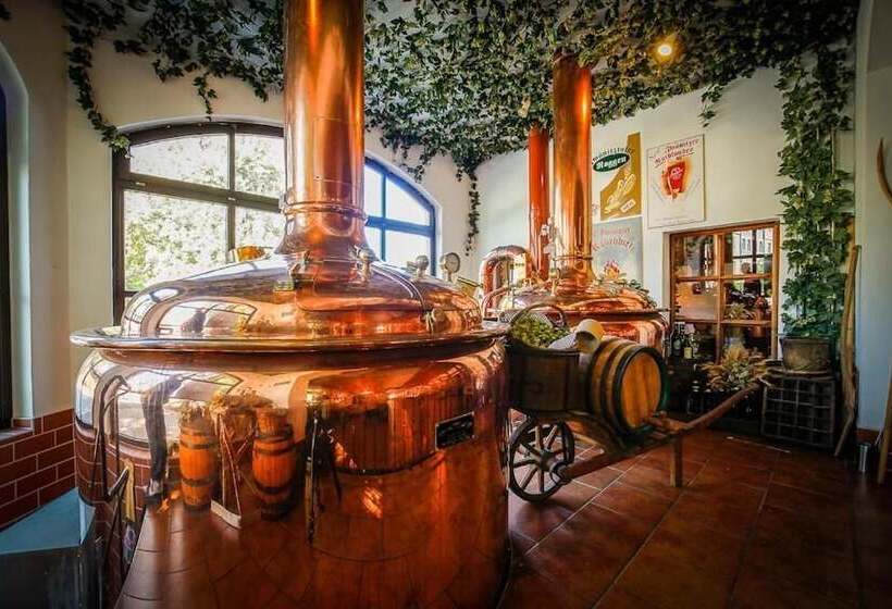 膳宿费 Brauerei Zwönitz