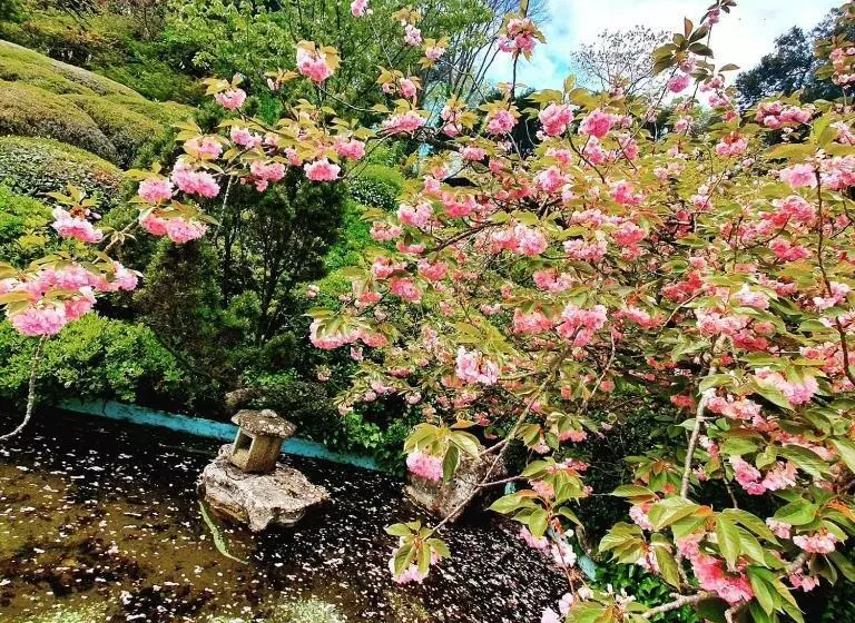 پانسیون Campo24roma Guesthouse