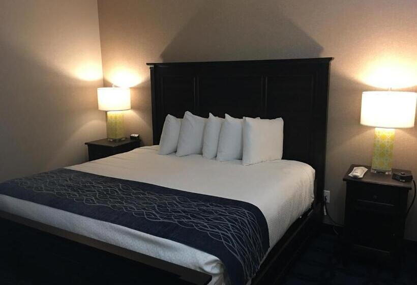 ベッドアンドブレックファースト Riverside Inn Hannibal