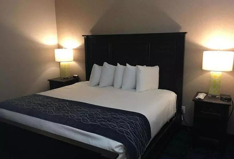 Aamiaismajoitus (B&B) Riverside Inn Hannibal