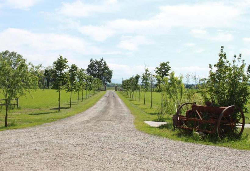 New Flowers Farm B&b