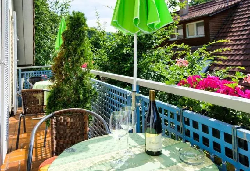 Hotelli Bio Gasthaus Am Felsenkeller