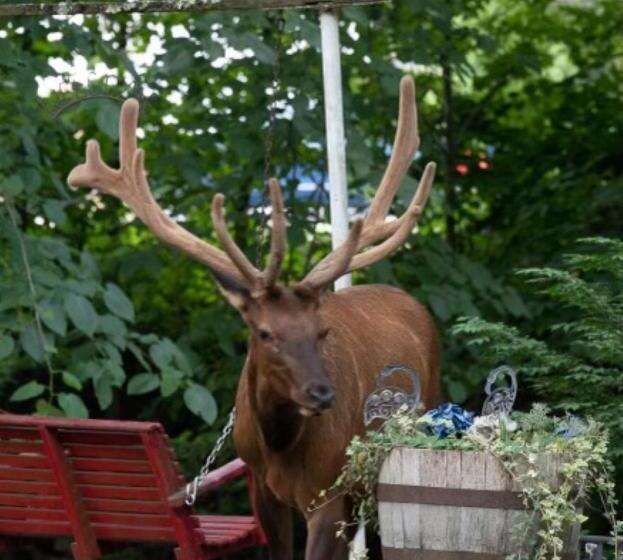 Hotelli Rolling Brook Inn