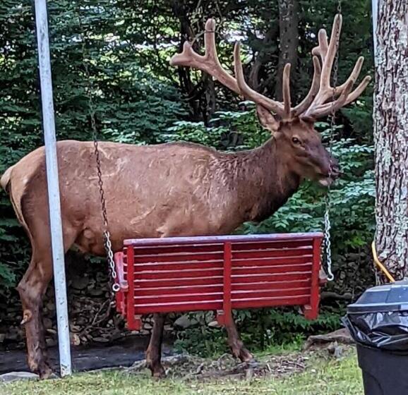 Hotelli Rolling Brook Inn