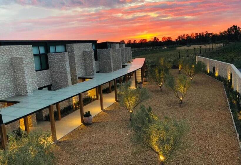 هتل Viñedos San Francisco