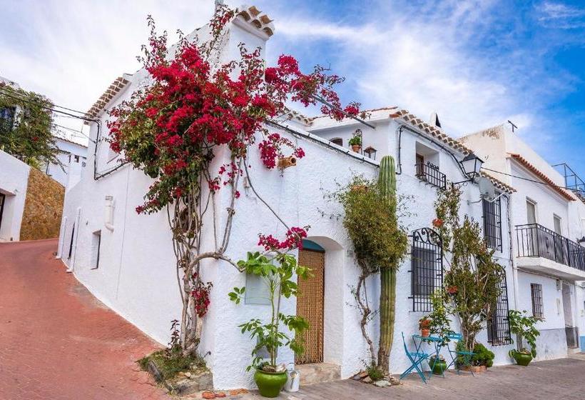 Casa Caballito De Mar Boutique B&b