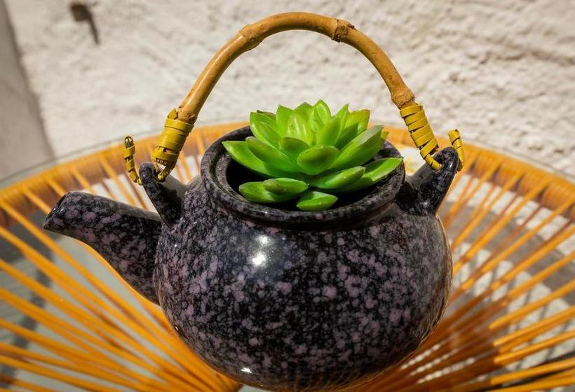 Casa Caballito De Mar Boutique B&b