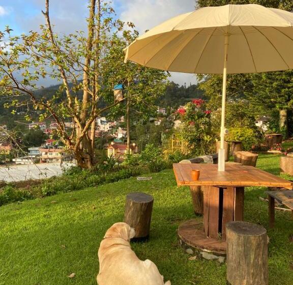 The Birdhouse Backpackers Hostel