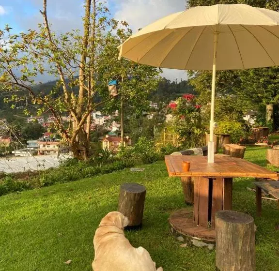 The Birdhouse Backpackers Hostel