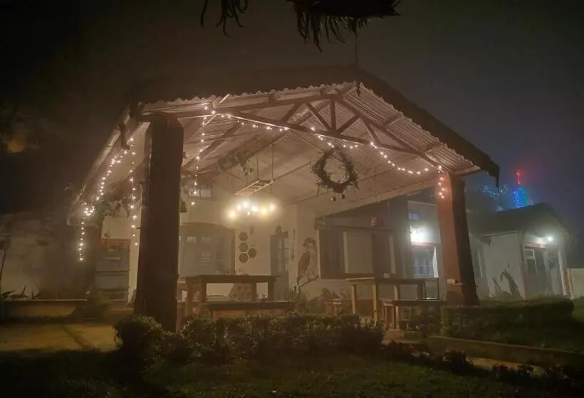 The Birdhouse Backpackers Hostel