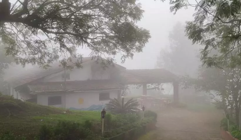 The Birdhouse Backpackers Hostel