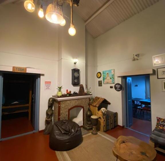 The Birdhouse Backpackers Hostel