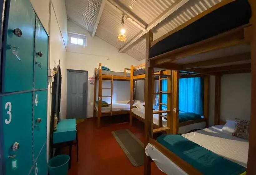 The Birdhouse Backpackers Hostel