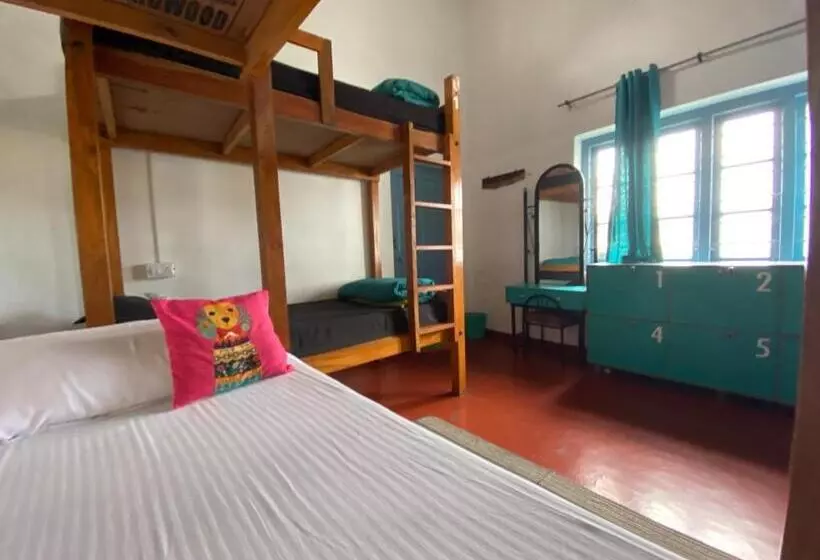 The Birdhouse Backpackers Hostel