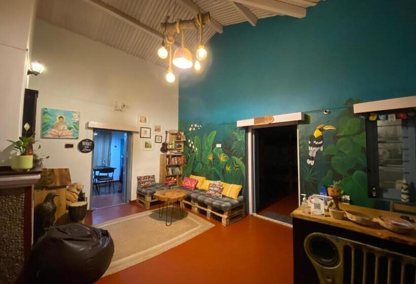 The Birdhouse Backpackers Hostel