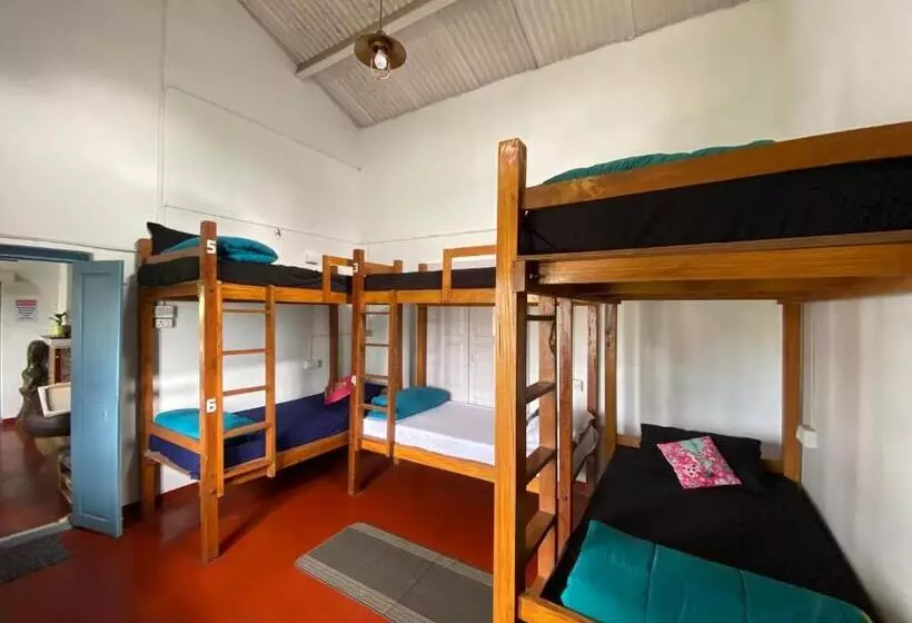 The Birdhouse Backpackers Hostel