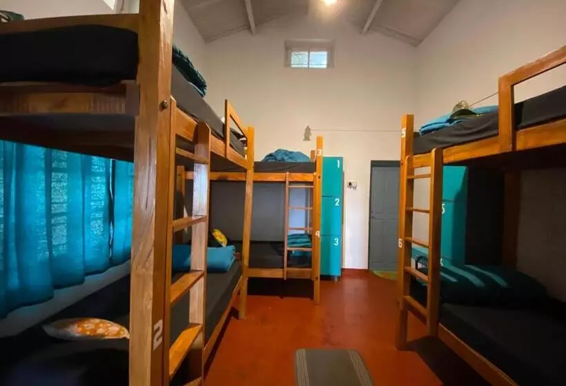 The Birdhouse Backpackers Hostel