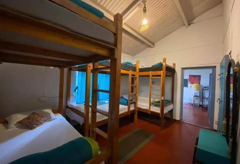 The Birdhouse Backpackers Hostel