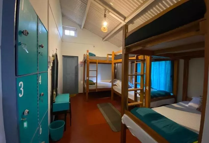 The Birdhouse Backpackers Hostel