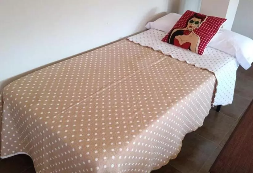 Albergue O Apartamento Camino Santiago Porriño   En Pleno Centro   City Centre