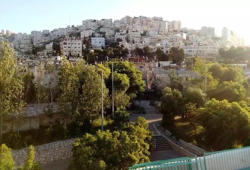 هاستل Turquoise