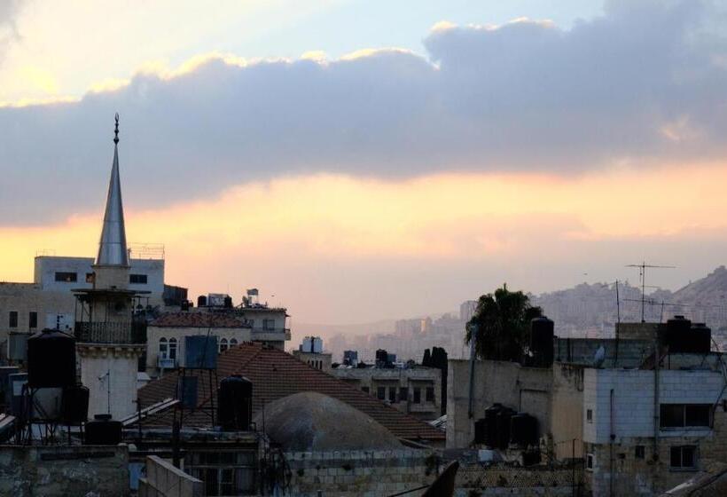 هاستل Turquoise