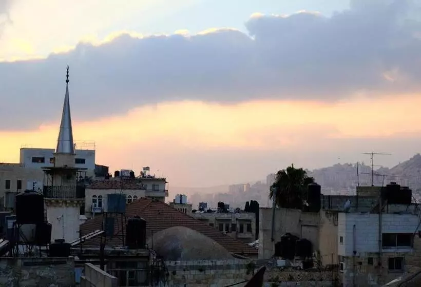 هاستل Turquoise