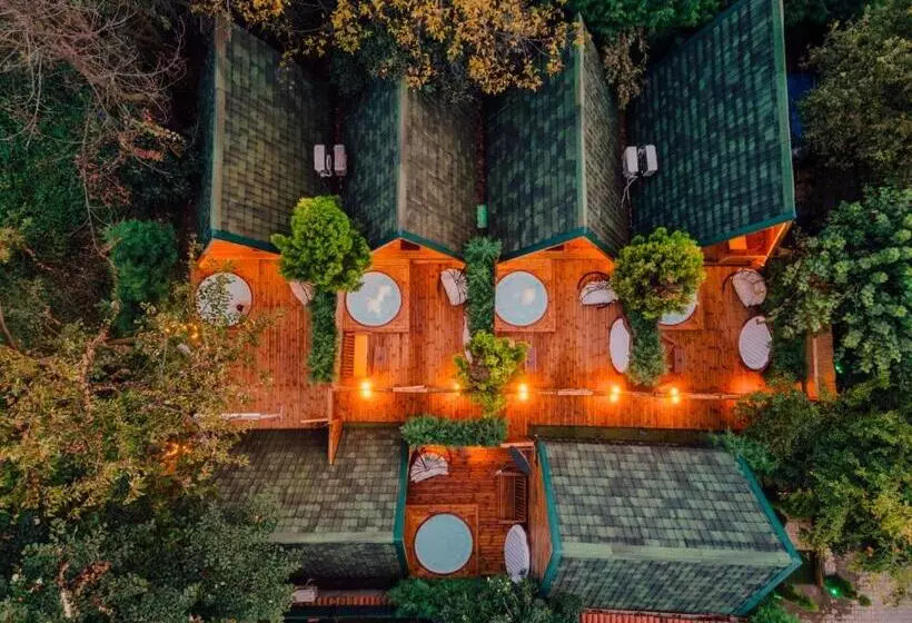 Aamiaismajoitus (B&B) Sapanca Sahil Bungalow