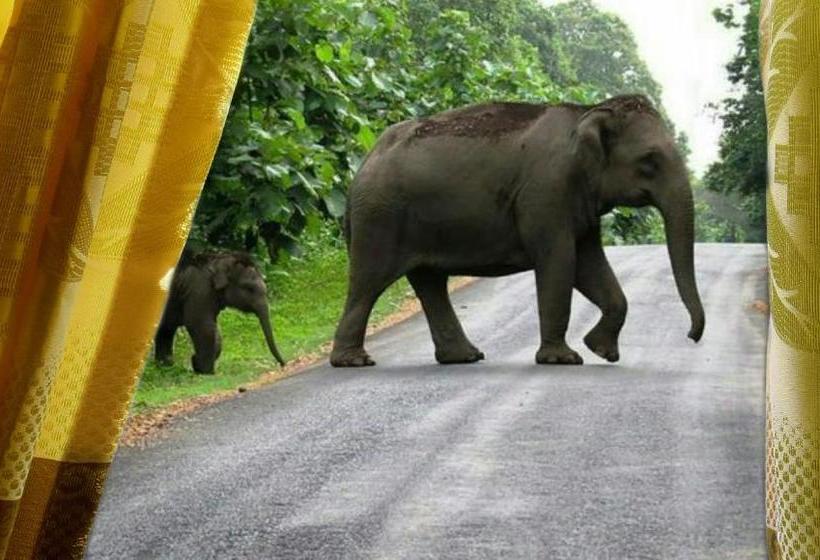 Vandrarhem Villa Pinnawala