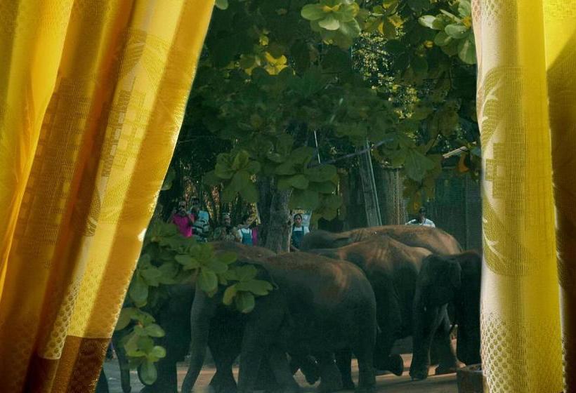 Vandrarhem Villa Pinnawala