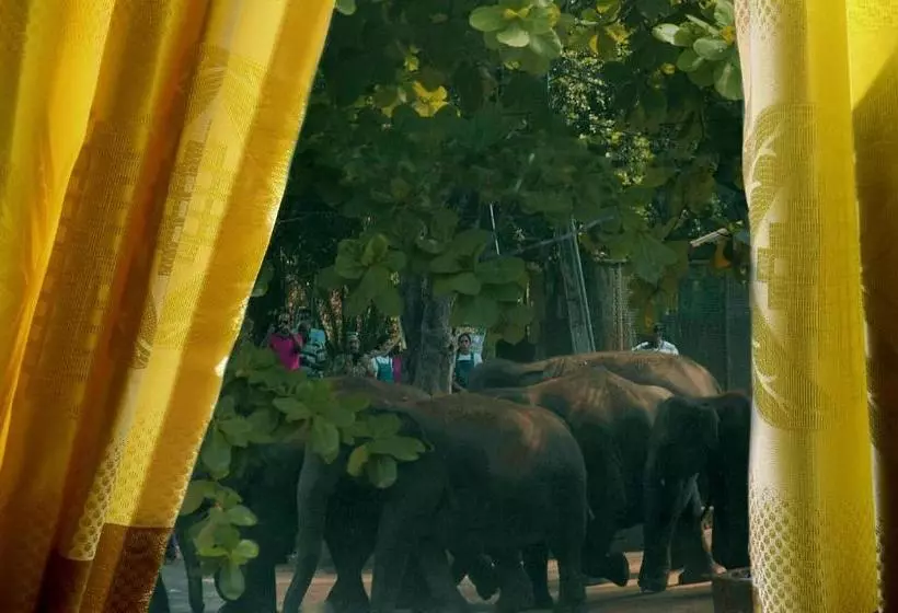 Retkeilymaja Villa Pinnawala