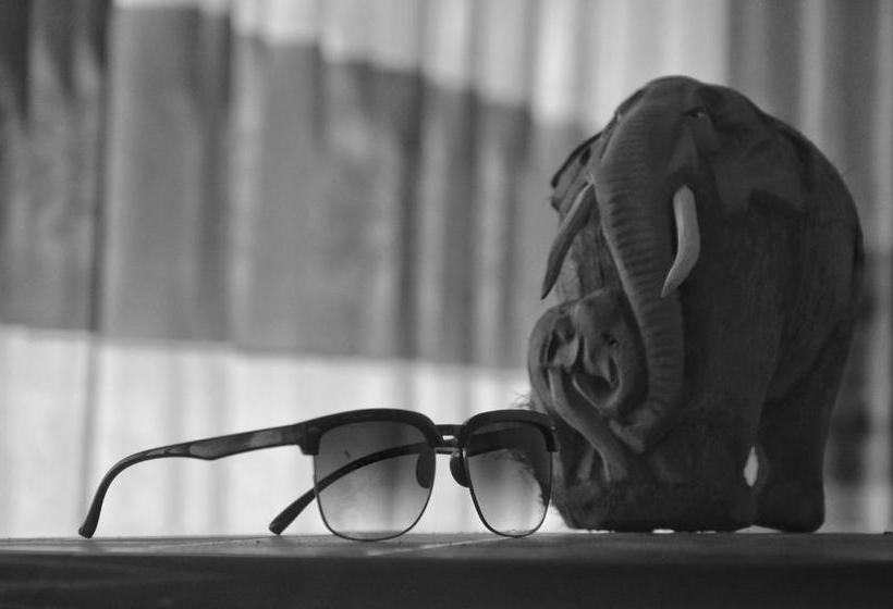 Vandrarhem Villa Pinnawala