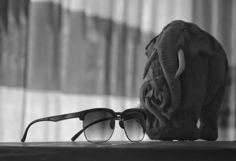 Retkeilymaja Villa Pinnawala