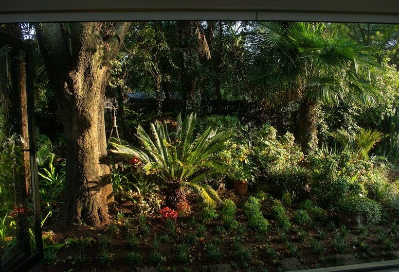 پانسیون Clifton Corner Guest House