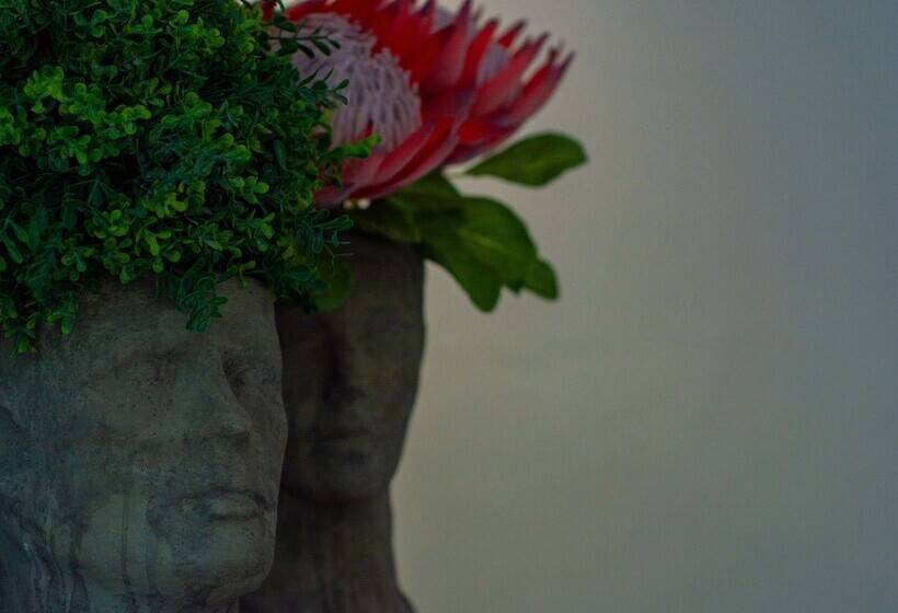 پانسیون Clifton Corner Guest House